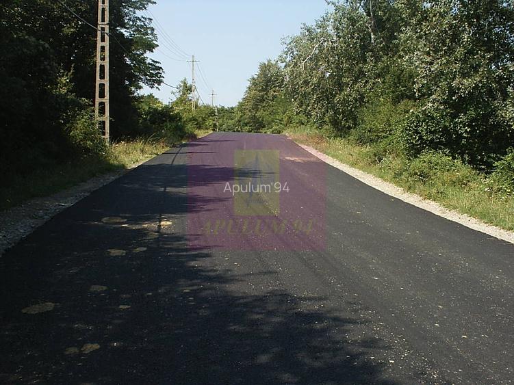Teren intravilan de vanzare in Telega - 12