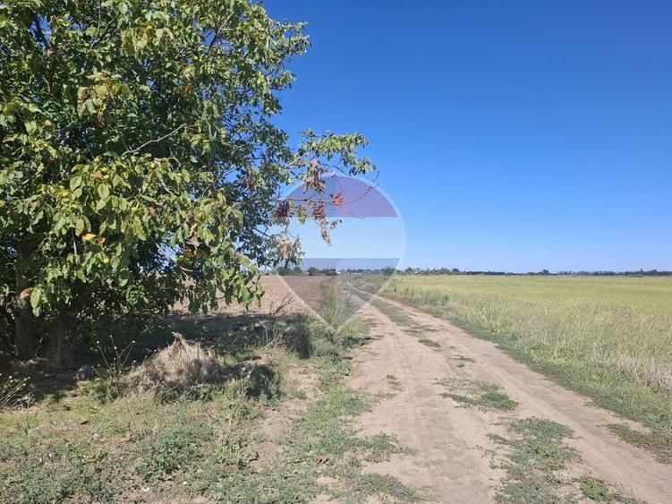 Vanzare teren extravilan 5.000mp - Pantelimon