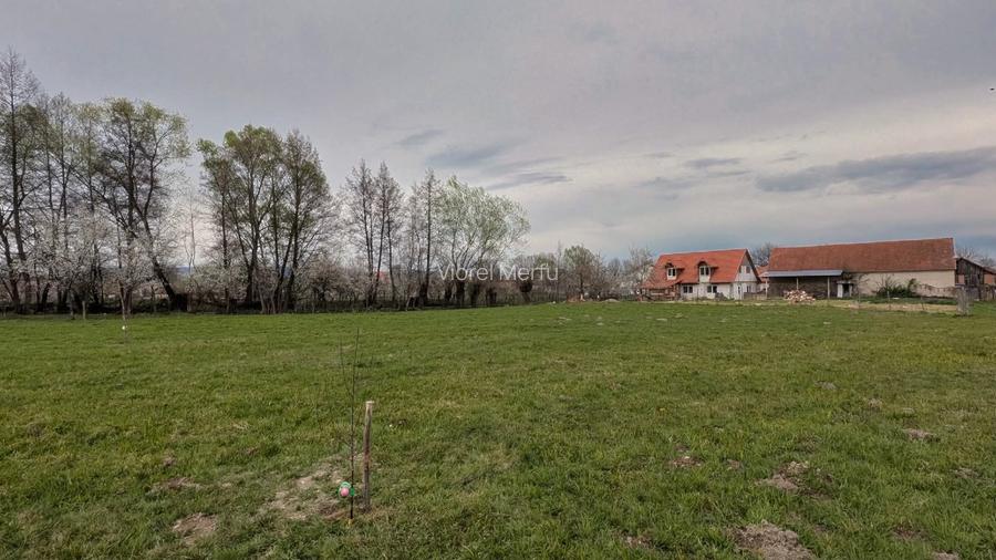 Teren intravilan 2.000 mp de vânzare – Cârnești, Țara Hațegului | vedere Retezat - 3