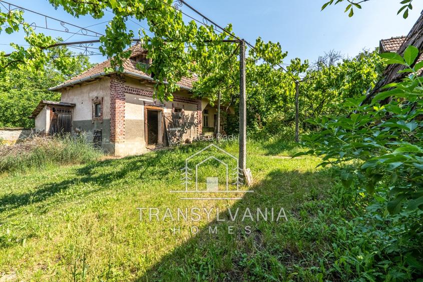 Casă 170mp cu teren de 1.922 mp, sat. Colonia, com. Tritenii de Jos - 4