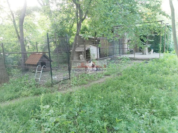 Vanzare casa conslidata Silistea Snagovului Com. Gruiu, Ilfov Snagov - 17