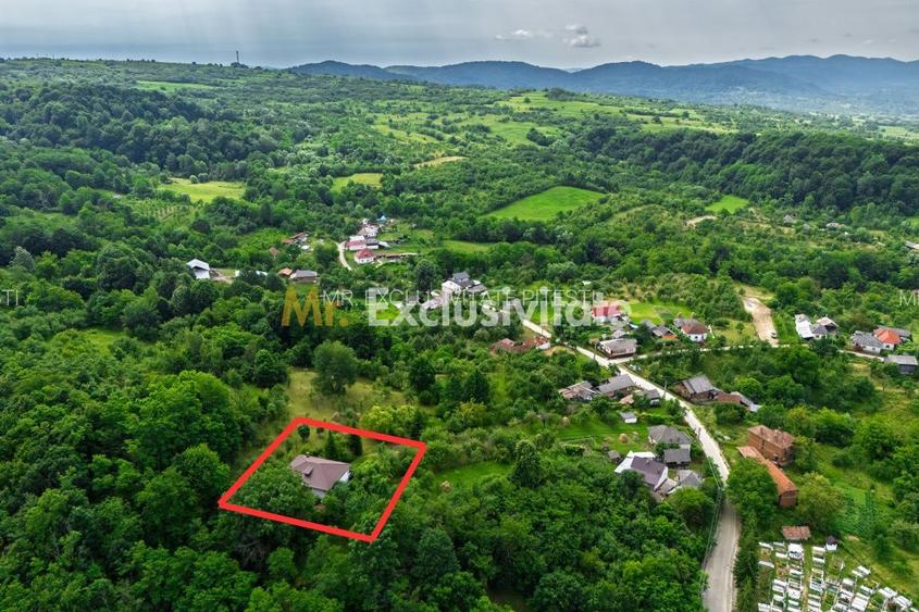 Casa moderna si casa bunicii + 6300 mp teren,Oaza autentica in Corbi Arges- - 23