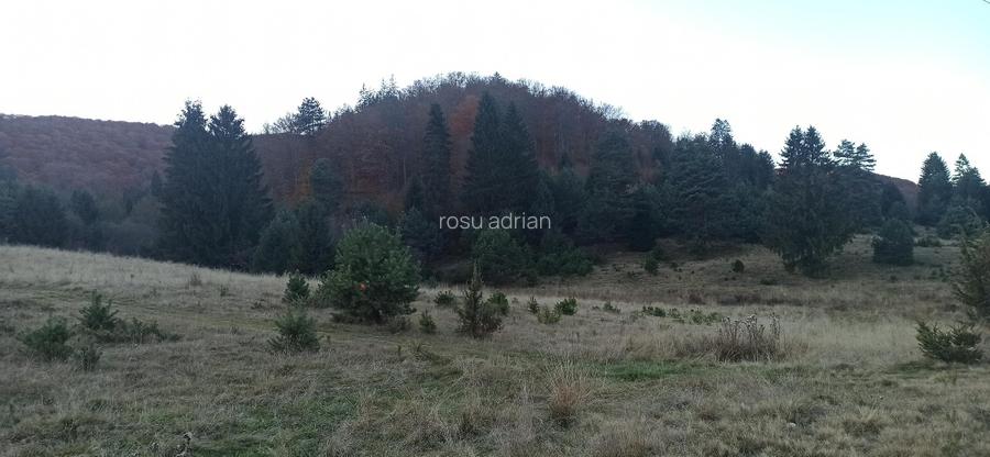 Teren 1810  mp – Zona Brebina, Zărnești . - 5