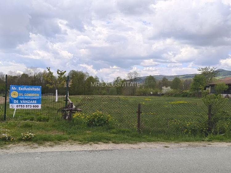 Teren mixt de vânzare Crasna Gorj, aproape de Rânca– 19.209 mp - 4