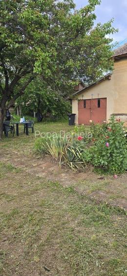 Casa comuna Izvoare, jud Dolj sau pachet casa plus 15 ha teren arabil - 3