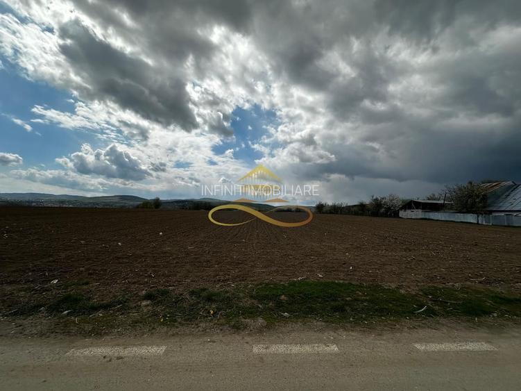 De vanzare doua loturi de teren in Fantanele-Bacau - 6