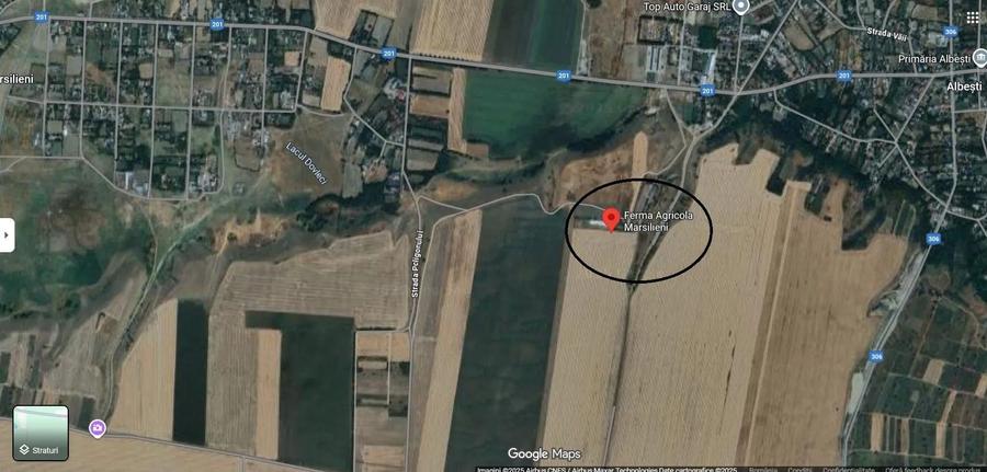 Ferma de gaini ouatoare in sistem free-range | 45.000 mp teren