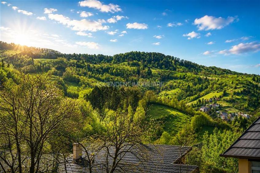 Un colt de liniste la poalele Tampei, Schei: Casuta singura in curte, Brasov - 3