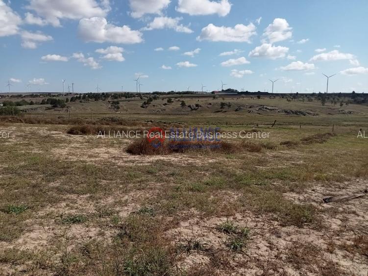 Teren intravilan 4.000 mp - Gradina, jud. Constanta