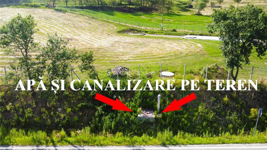 Teren 5.194 m² | 181 metri front la strada Principala (DJ 182C) | Servicii - 5