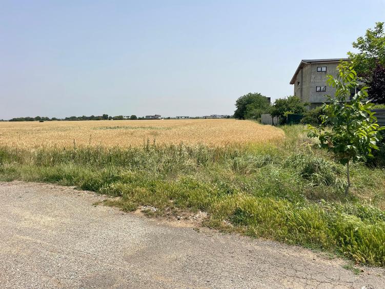 VÂNZARE TEREN - OTOPENI, STRADA CARPAȚI.OPORTUNITATE!!!