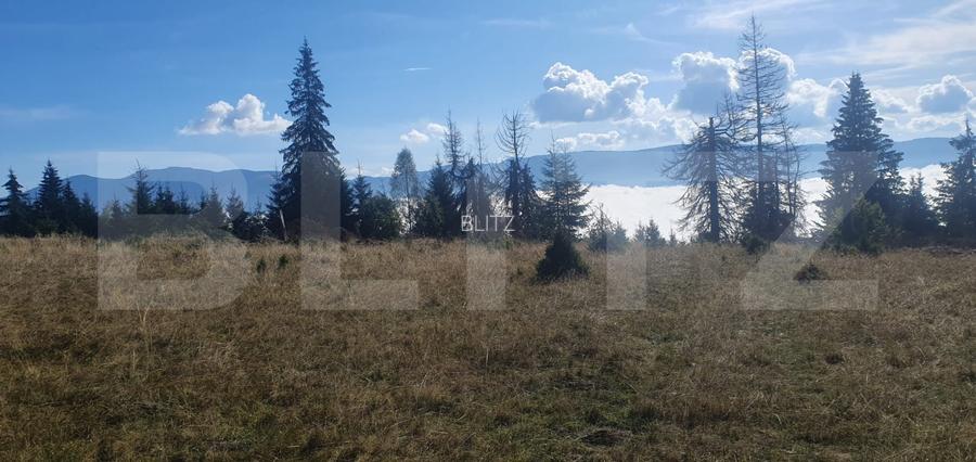 Teren extravilan, 50.000 mp, zona Vatra Dornei
