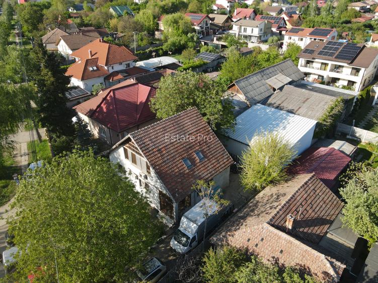 Hala Industriala - Productie / Depozitare 680 mp - Calea Urseni (Timisoara) - 3