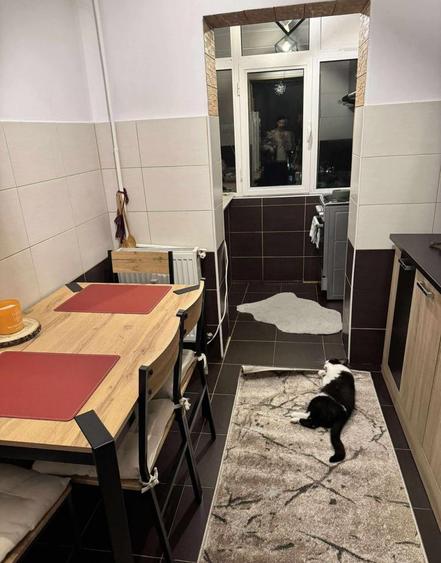 Apartament decomandat cu 2 camere, renovat, în Nicolina