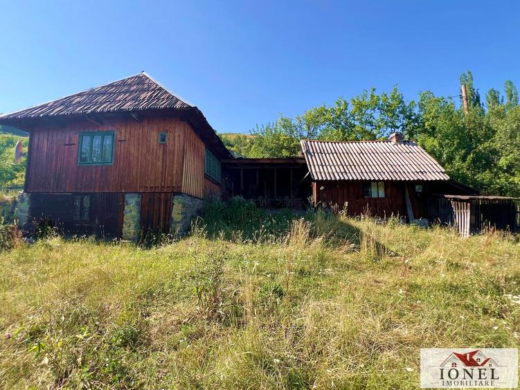 Vanzare casa cu 116.445 mp teren in Muntii Apuseni -Mogos