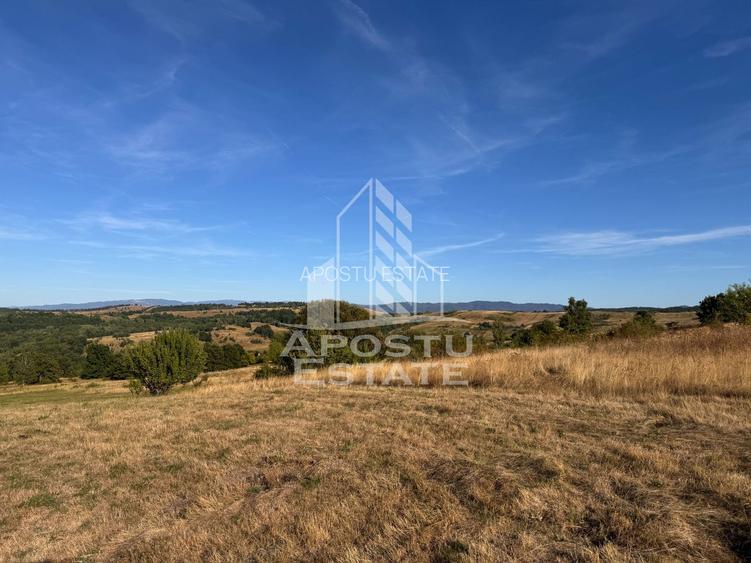 Teren de 50.000mp, priveliste panoramica spre munte si lac, Hunedoara - 12