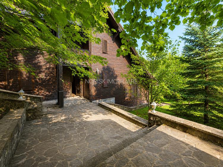 Mountain Chalet | Private Resort | Investment - Nistoresti - 22
