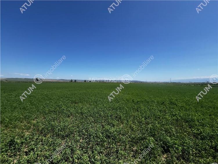 Teren intravilan de 19264 mp situat in zona Industriala Vest din Sibiu - 6