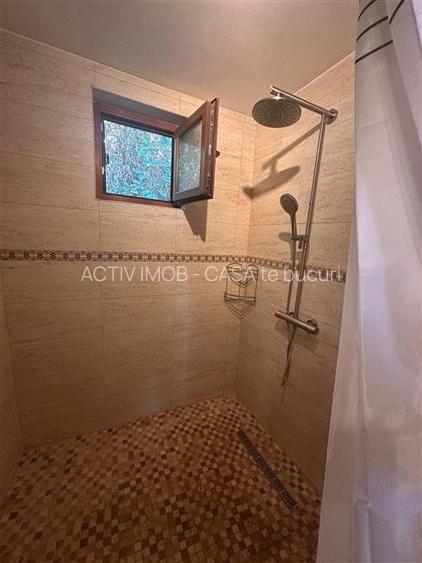 Vila Snagov cu piscină - 10