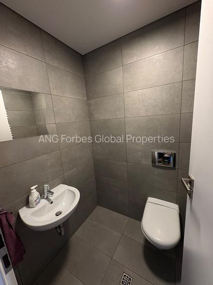 Apartament exclusivist cu 5 camere, vedere catre lac, Fabrica de Glucoza - 19