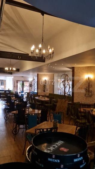 Restaurant de vânzare, 688 mp, zona Parcului Chindia - 8