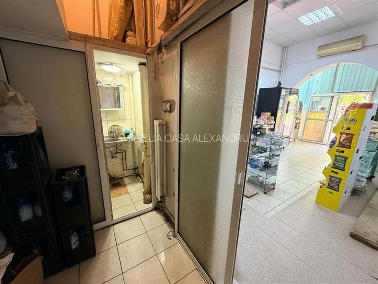 Spatiu comercial de inchiriat Alexandru cel Bun Parcul Voievozilor - 5
