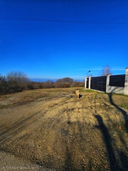 Teren intravilan 2.000 mp – Seciu, 2 deschideri, Priveliște panoramica