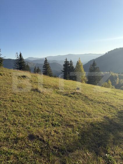 Teren extravilan, 22.870 mp, zona Sadova
