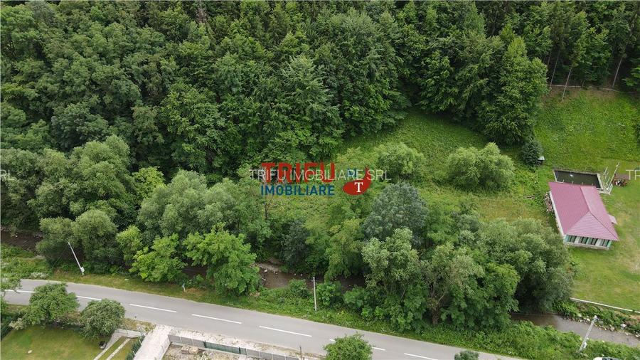 Teren ideal pentru cabană sau pensiune în Poiana Galdei - 14