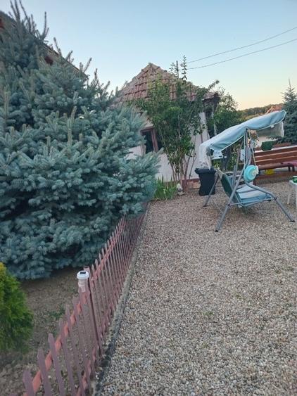 Casă cu panoramă înspre pădure