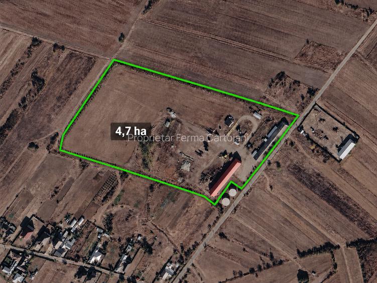 Teren 4,7 ha | Hală 770 mp | Cartojani, Giurgiu | Acces TIR