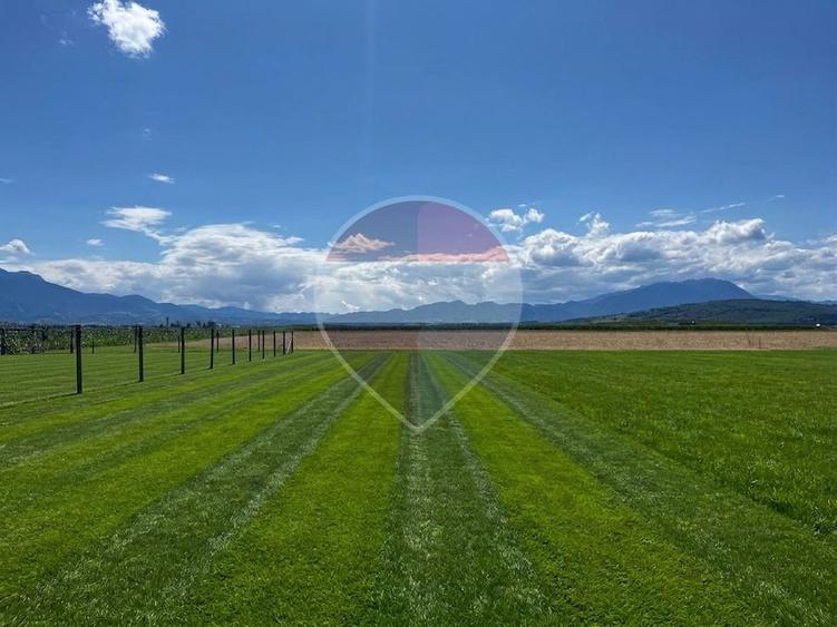 Oază de liniște și panoramă spectaculoasă: Teren intravilan de 1.200mp