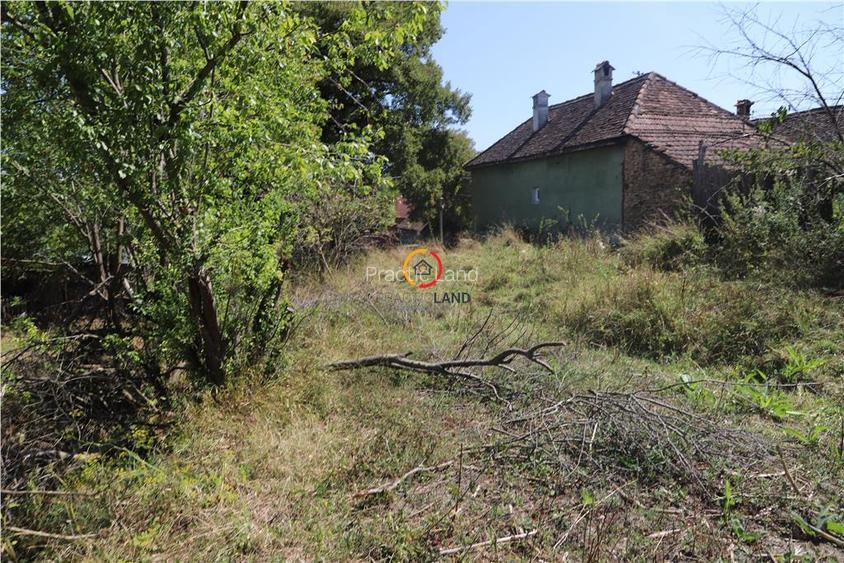 casa traditionala Bruiu Somartin judet Sibiu