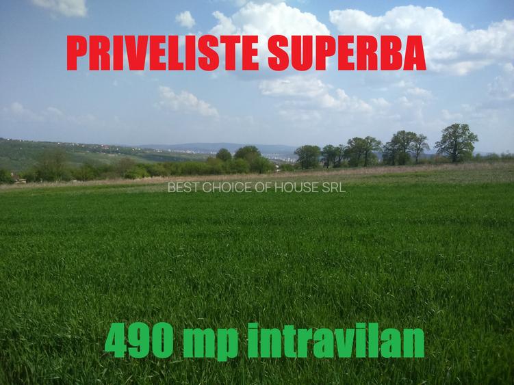 Pacurari-Platoul Beldiman , 4 KM DE LA POPAS PACURARI,ideal INVESTITIE - 3