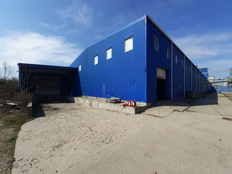 Berceni, hale dimensiuni 1800mp, 2750mp si 2900, acces facil