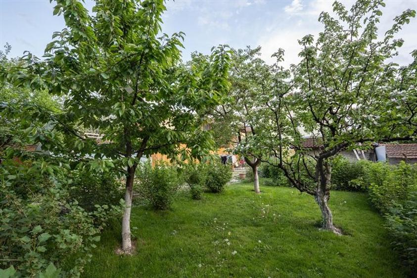 Casa individuala P+M , 5 dormitoare, 3 bai, 556 mp teren, Cernatu, Sacele