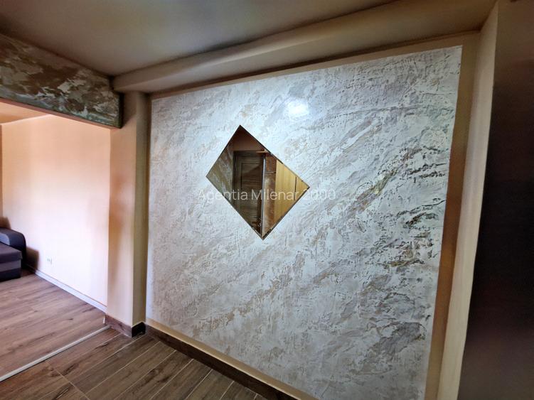 Apartament cochet-Take Ionescu-cu centrala gaz-La prima inchiriere dupa amenajar - 15