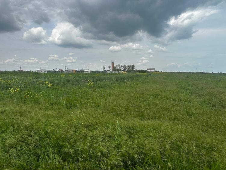 Constanta - Tuzla - teren intravilan 1000mp