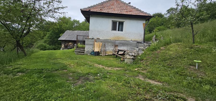 Domeniu Premium 1.7 Ha Intravilan Zărnești | Lizieră Pădure | Ideal Resort - 10
