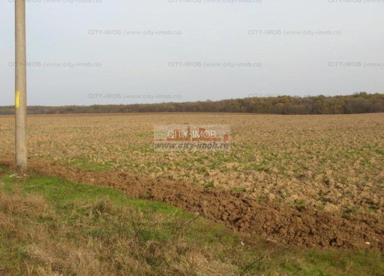 Vanzare Teren - intravilan - Snagov Ghermanesti - 7
