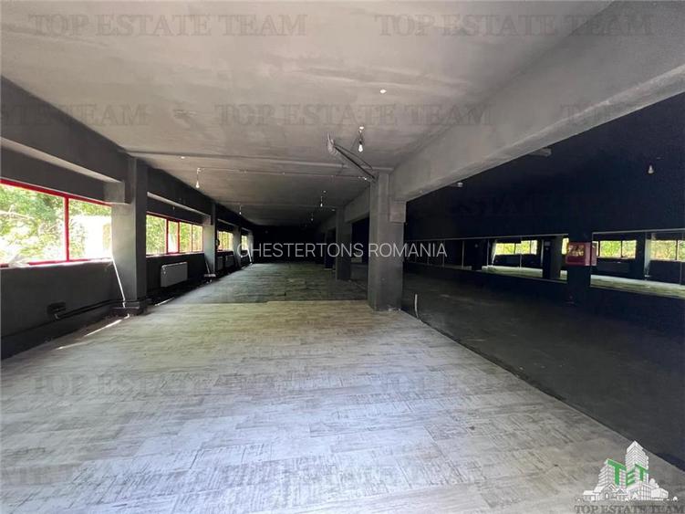 De inchiriat spatii comerciale, hale si birouri - 3