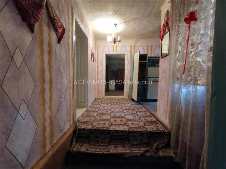 Bogodint, Casa cu 4 Hectare Teren, Pret Negociabil - 9
