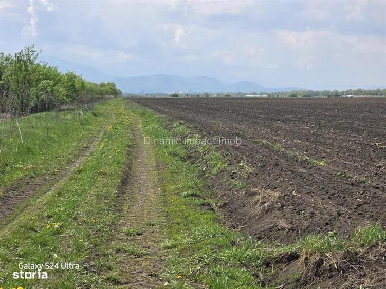 Oportunitate de investiție cu Exclusivitate! BOD, teren agricol! - 5