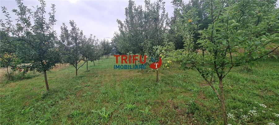 Teren de vanzare, 1785 mp in Paclisa cu utilitati