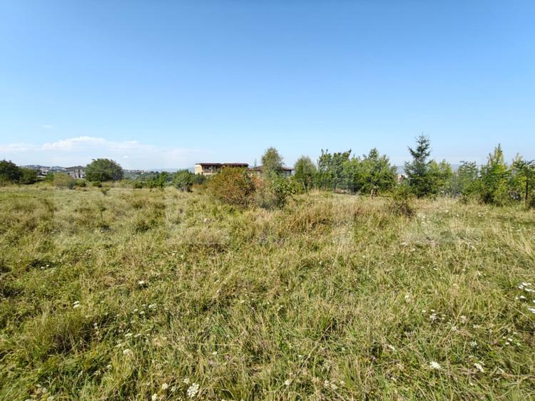 Teren intravilan 350 mp, cu Puz aprobat prin HCL, in zona Borhanci/Romul Ladea