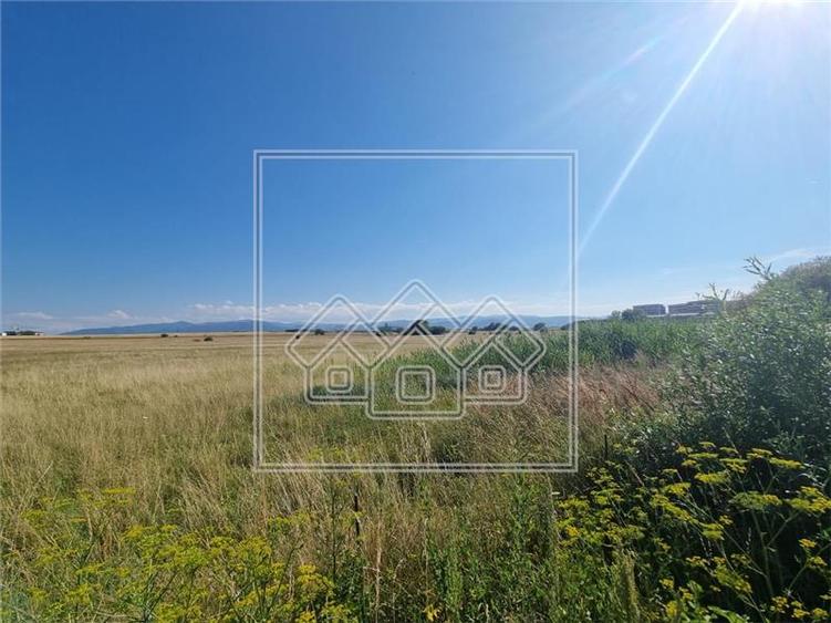 Teren intravilan de 10.000 mp, Calea Surii Mici