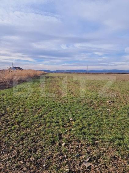 Teren intravilan, 8700mp,Prejmer