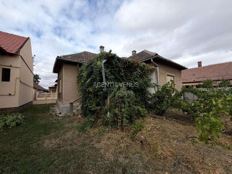 CASĂ + 15 ARI TEREN, APROAPE DE CENTRU – CAREI - 10