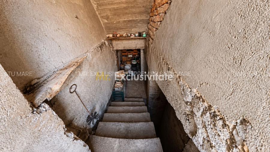 Casă de vânzare 1 Iunie Satu Mare - 28