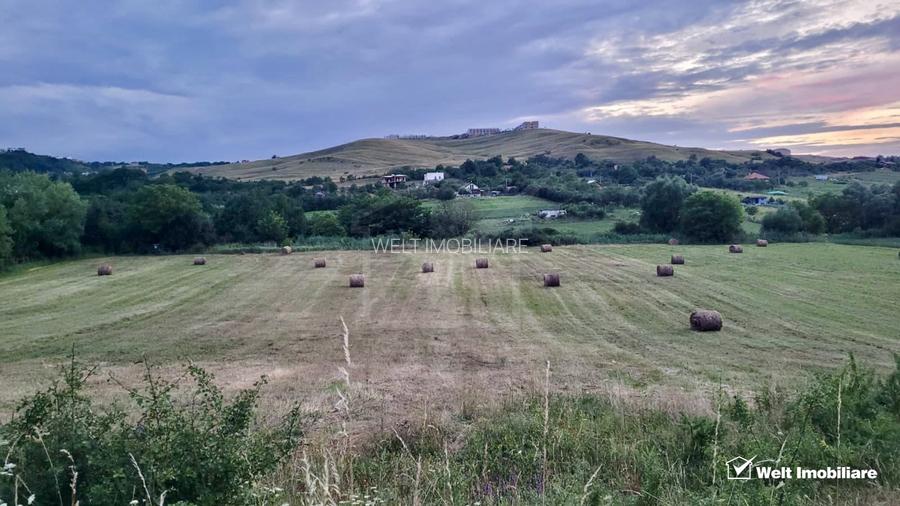 Teren 4.300 mp Sopor | Investiție - 7
